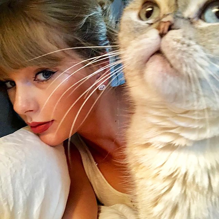 Taylor Swift fun facts - Cat Lover